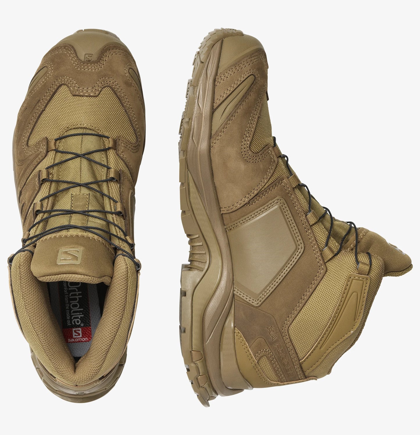 XA FORCES MID