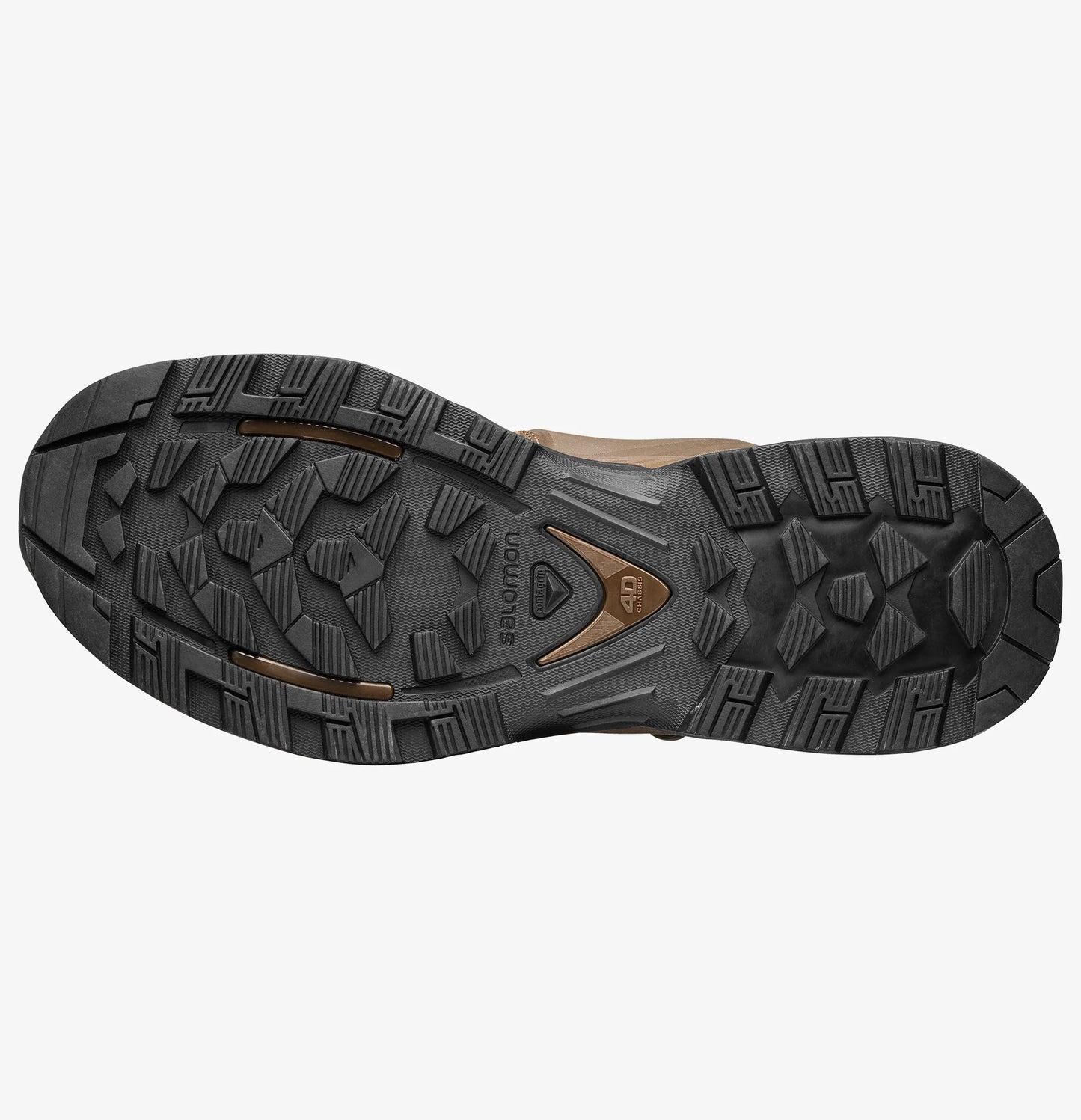 QUEST 4D FORCES 2 EN