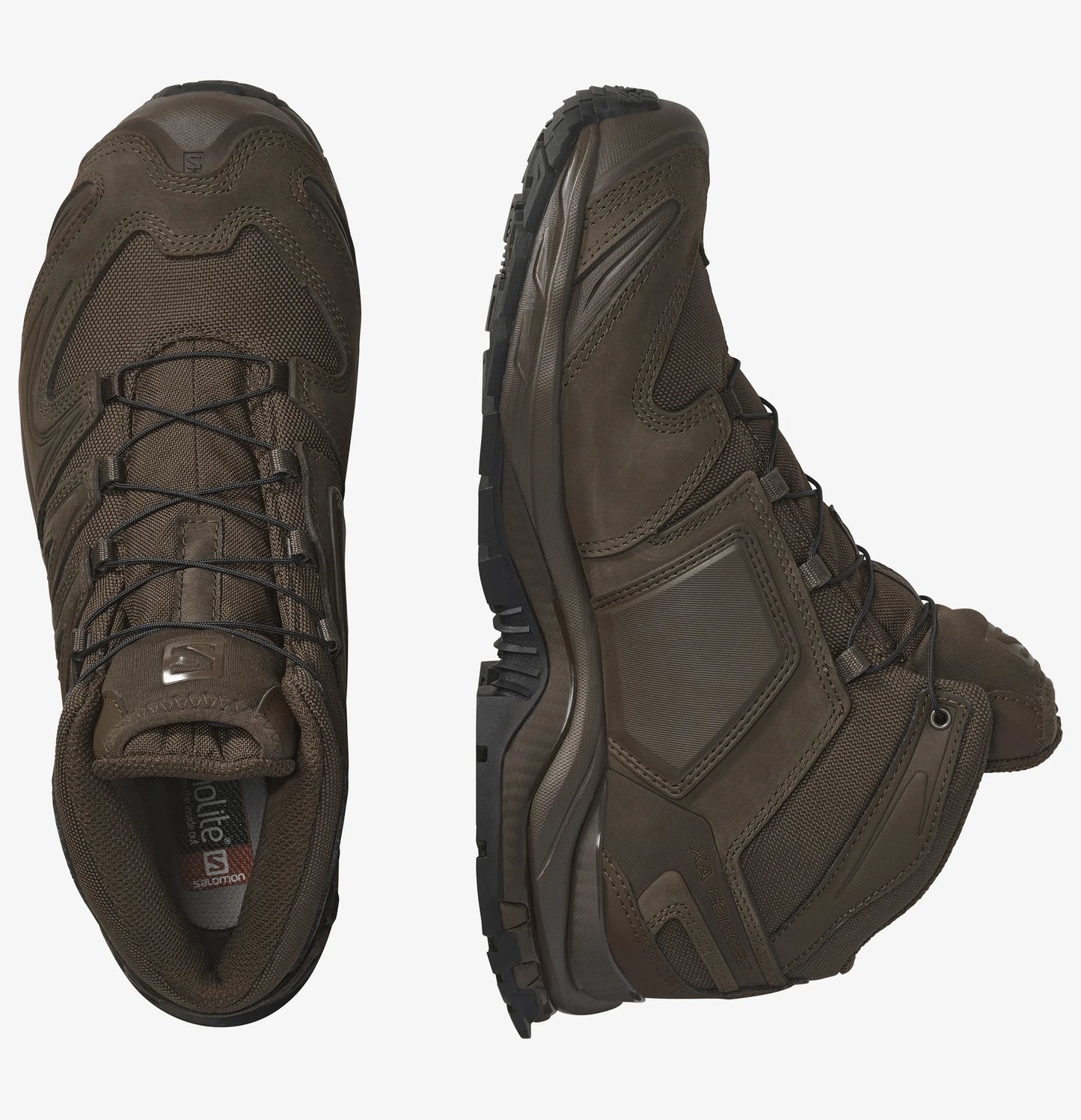 XA FORCES MID EN