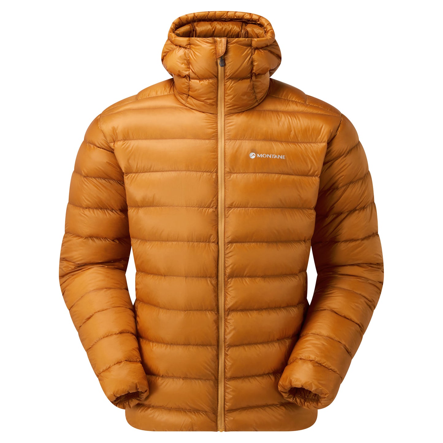 MEN'S ALPINE 850 LITE HOODIE