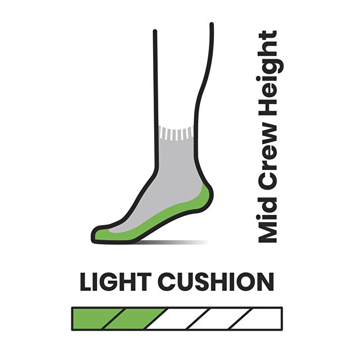 Hike Light Cushion Striped Mid Crew Socks