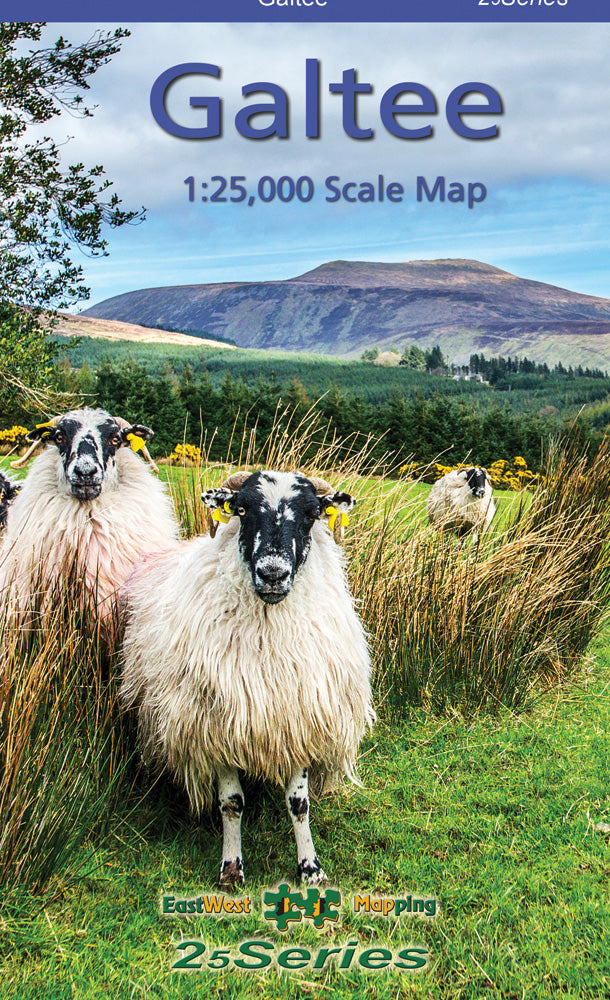 Galtee