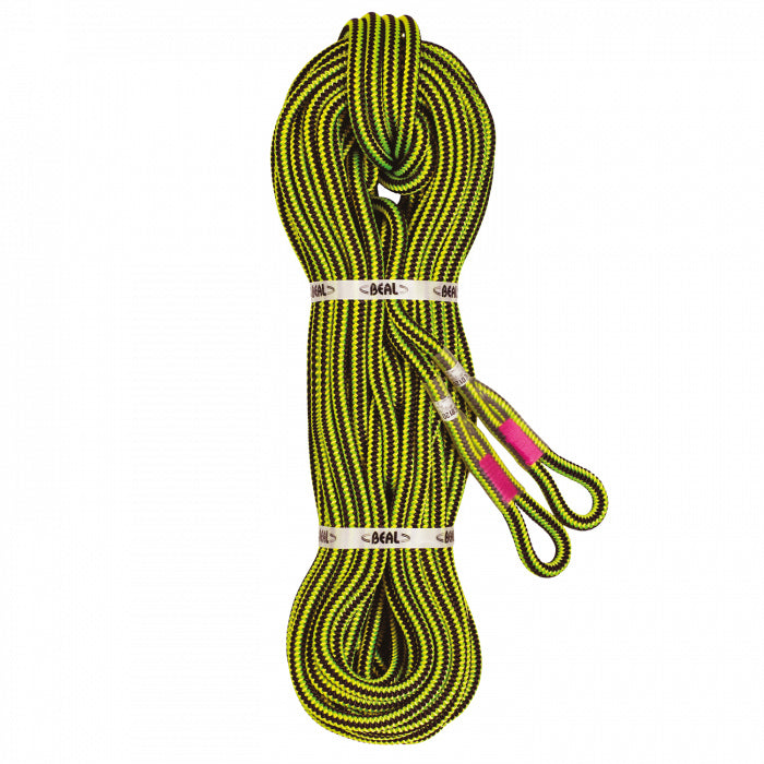 Gingko 12 + 2 Sewn Terminations