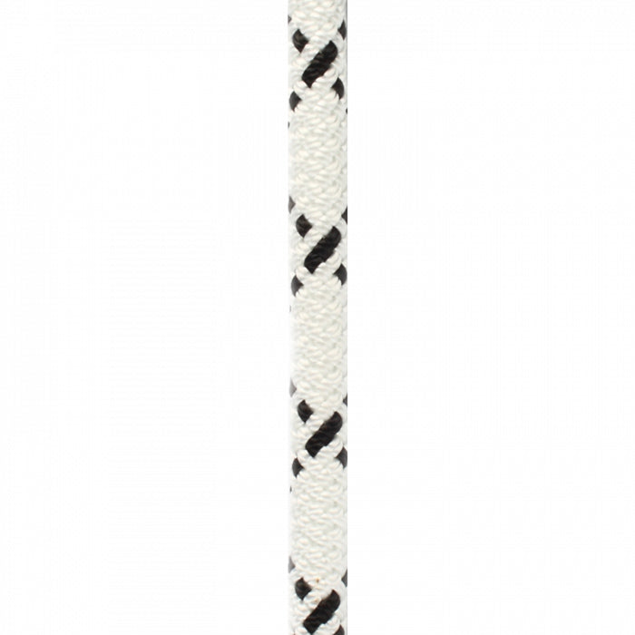11mm SEGMENT