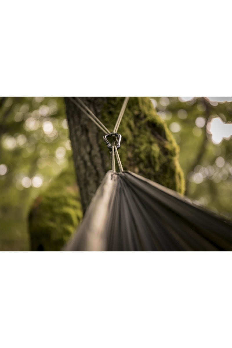 Tropical Hammock