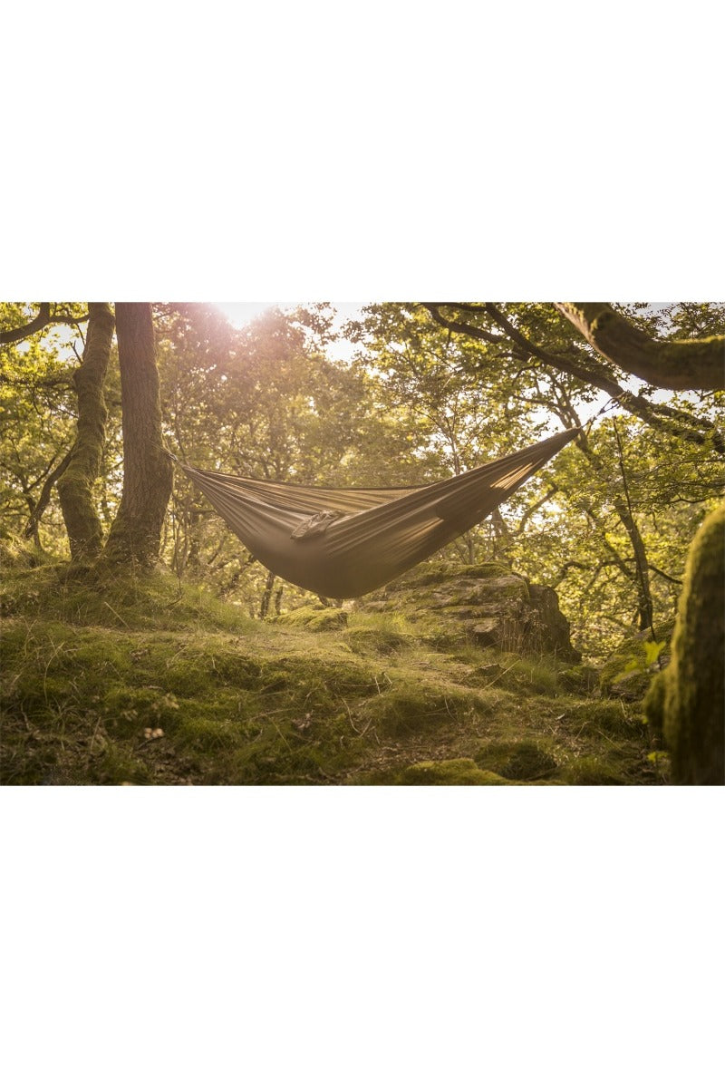 Tropical Hammock