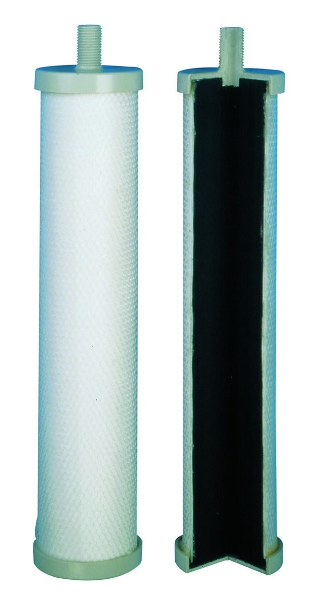 Carbodyn Cartridge