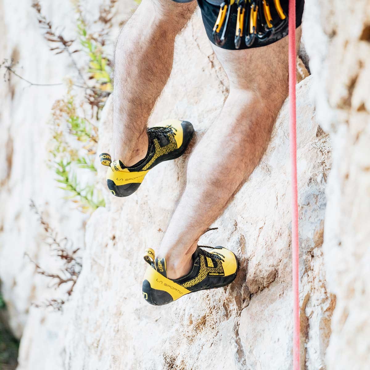 Katana Laces