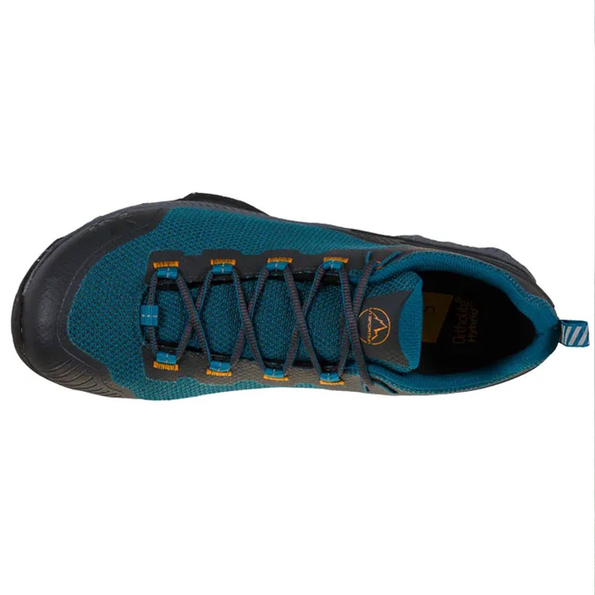TX Hike GTX Space