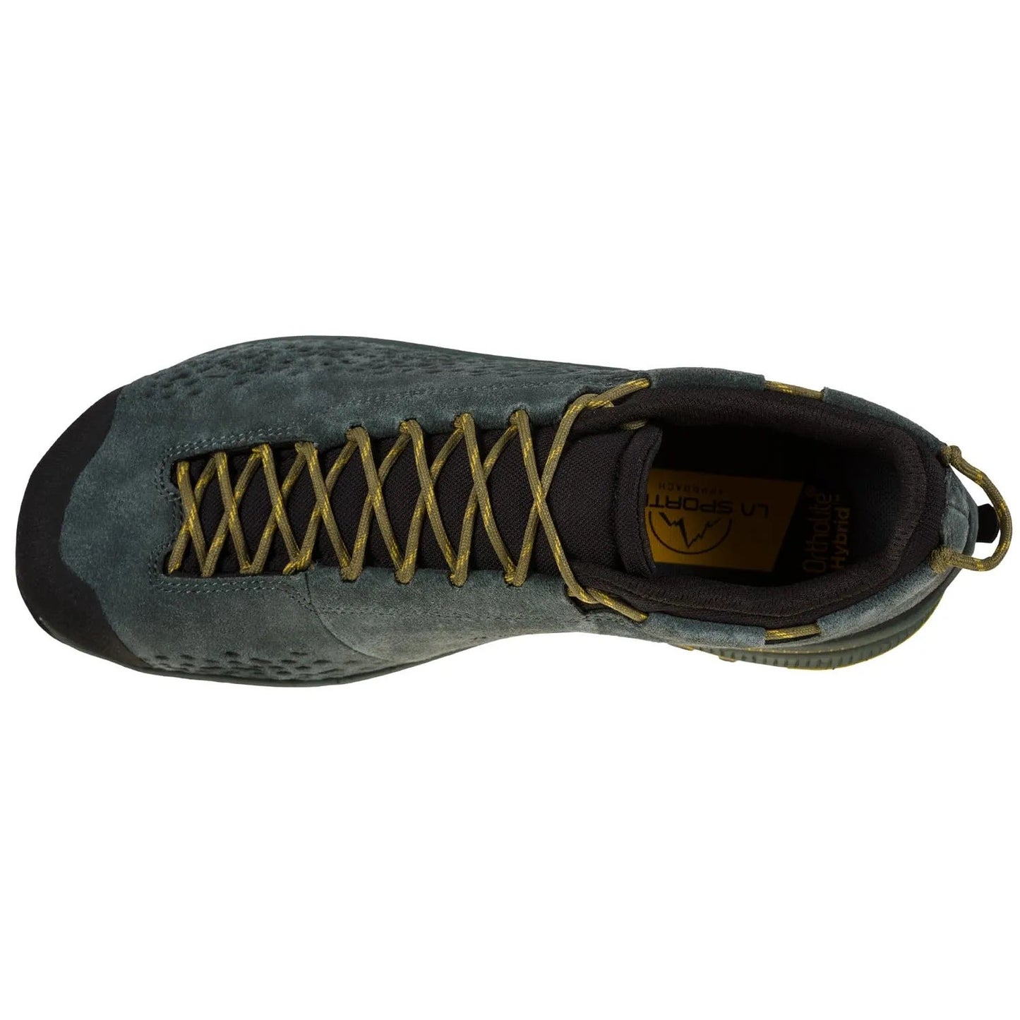 TX2 Evo Leather