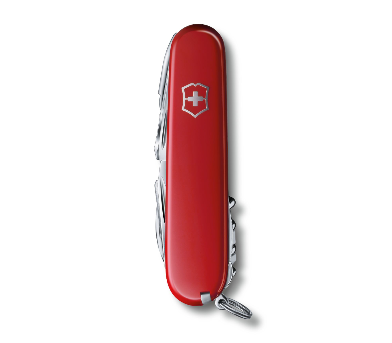 Swiss Champ Red
