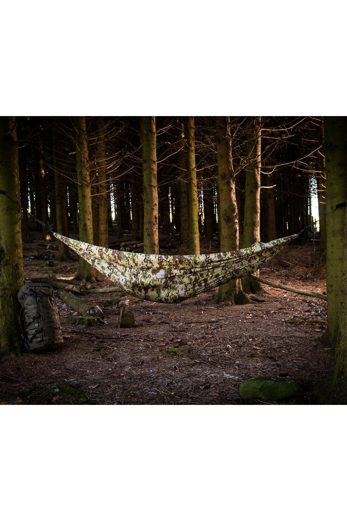 Tropical Hammock