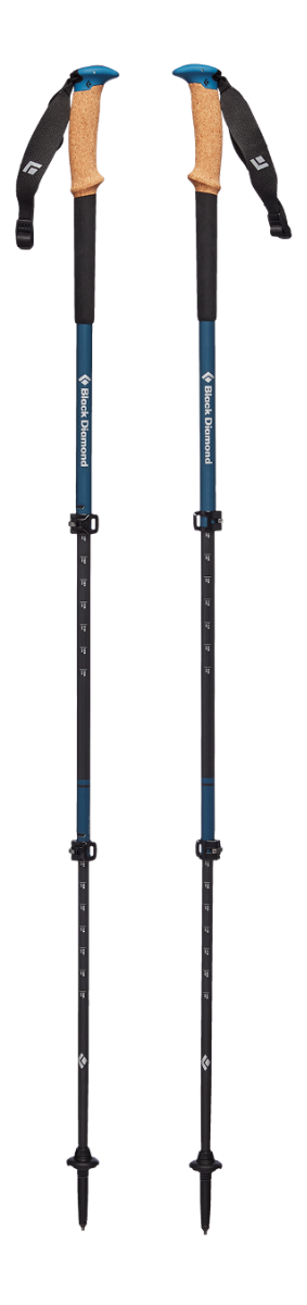 ALPINE C CORK WR TREK POLES