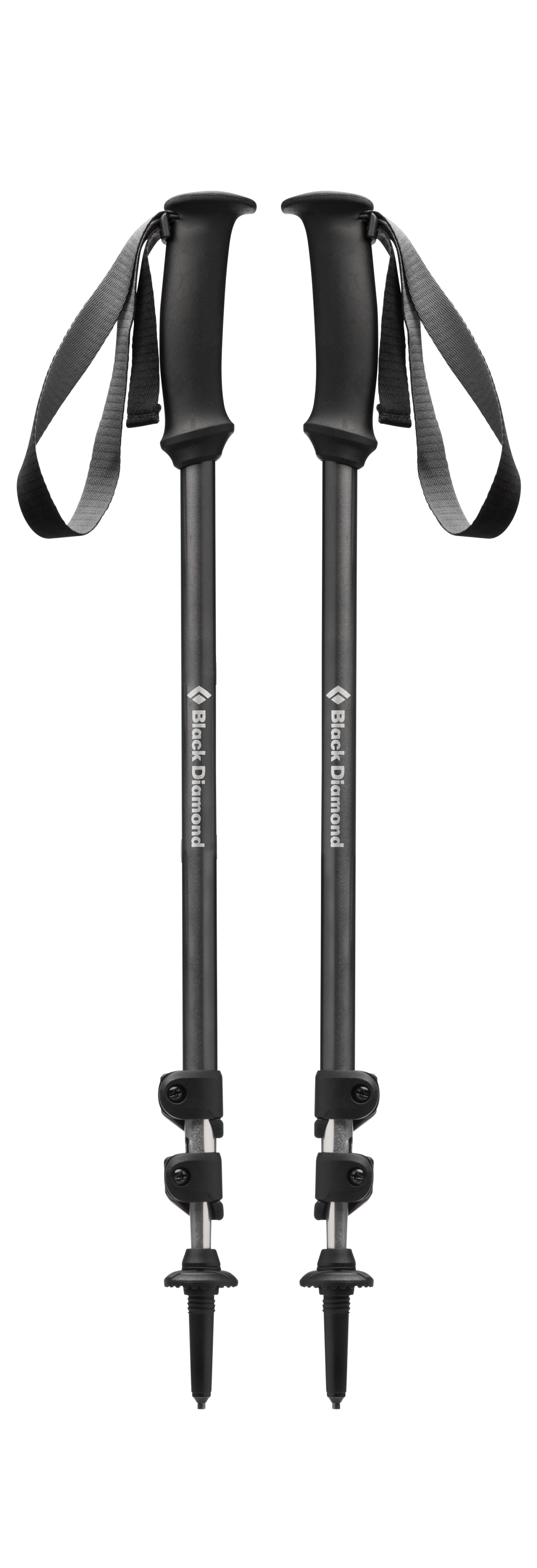 TRAIL EXPLORER TREK POLES