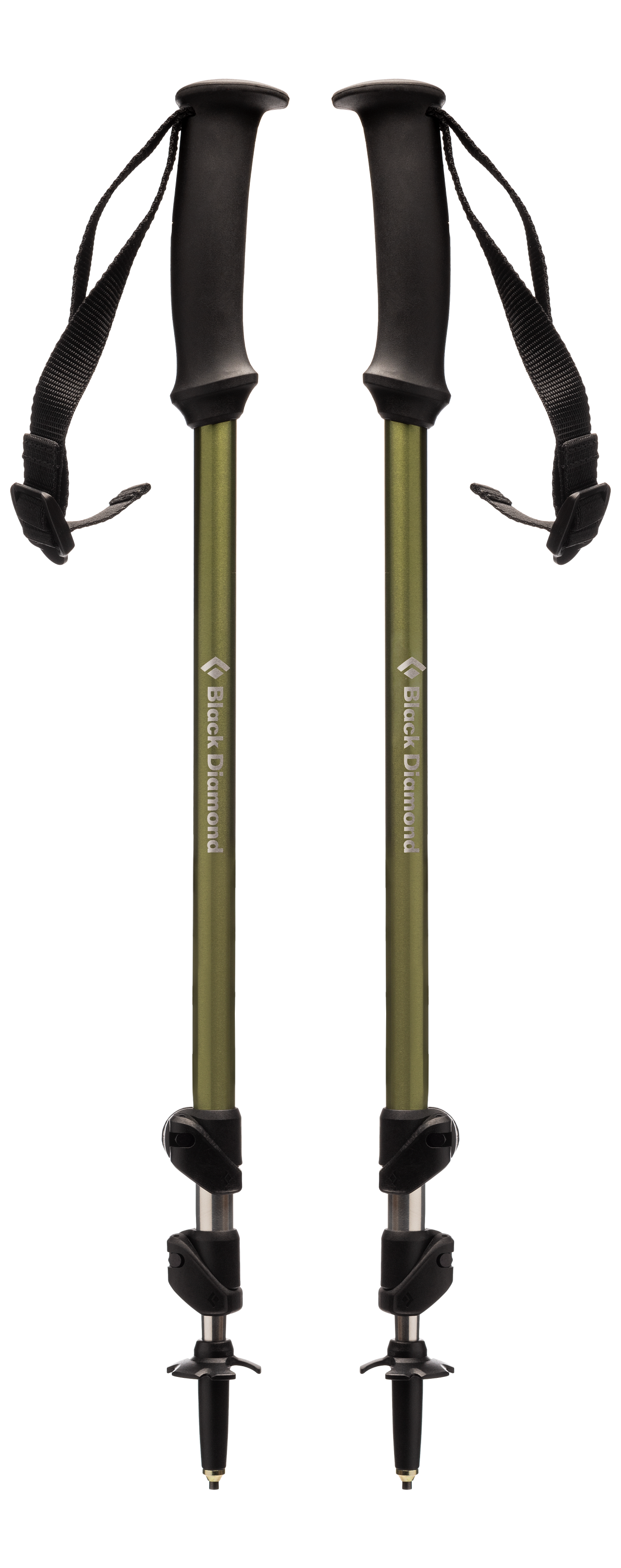 TRAIL EXPLORER TREK POLES