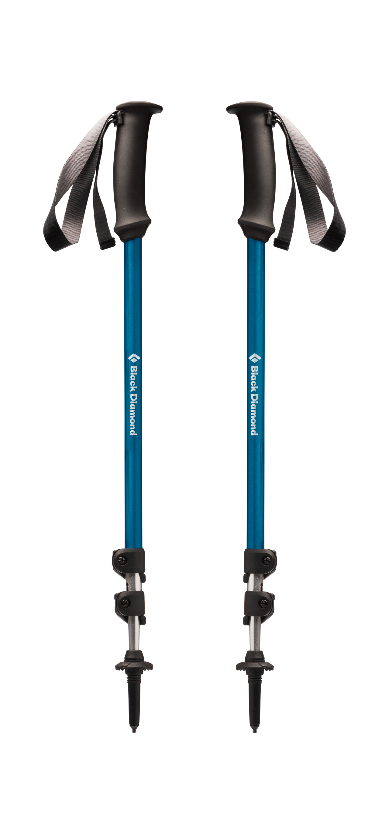 TRAIL EXPLORER TREK POLES