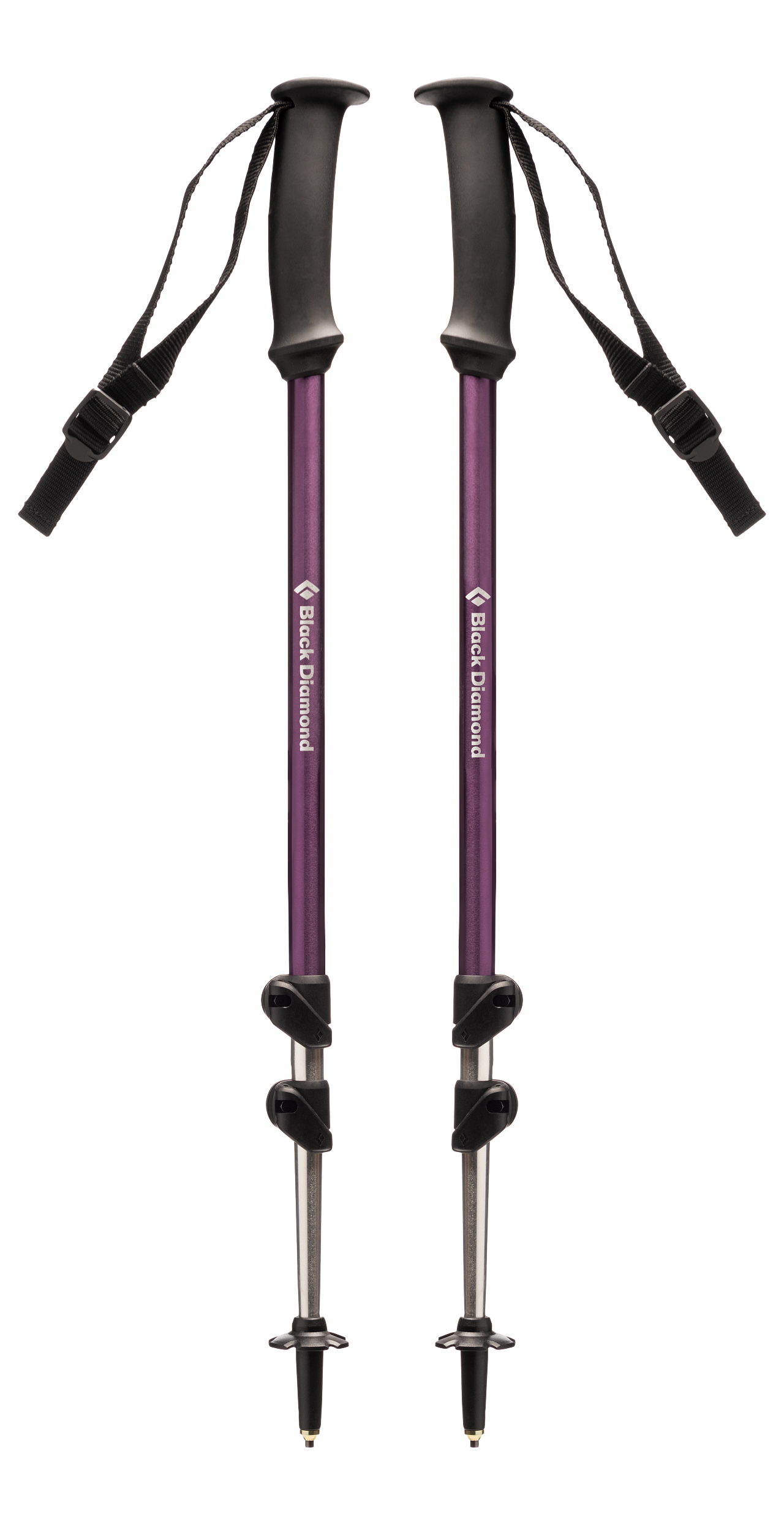TRAIL EXPLORER TREK POLES