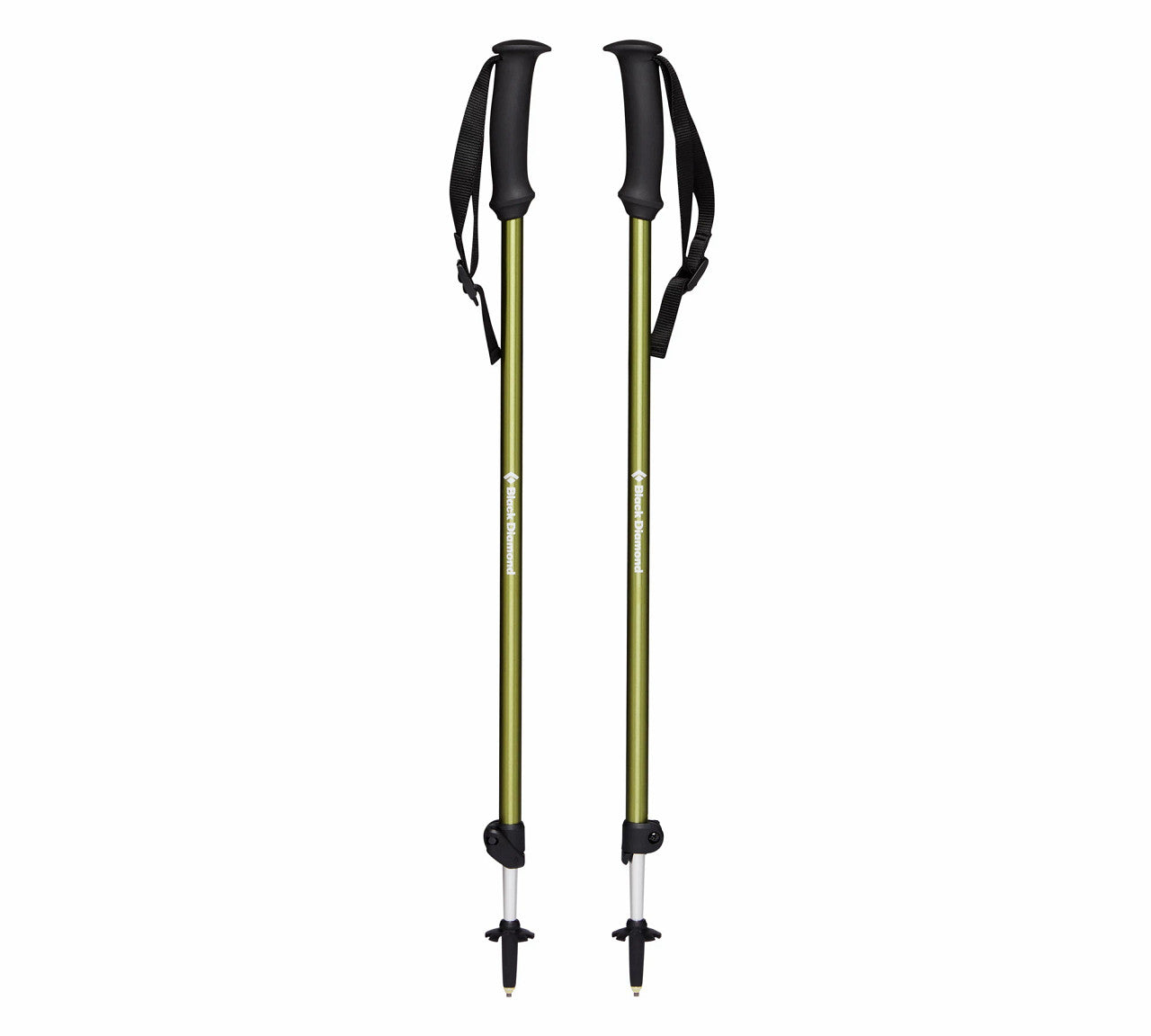 TRAIL EXPLORER TREK POLES