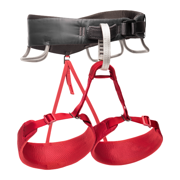 MOMENTUM HARNESS - WOMEN'S