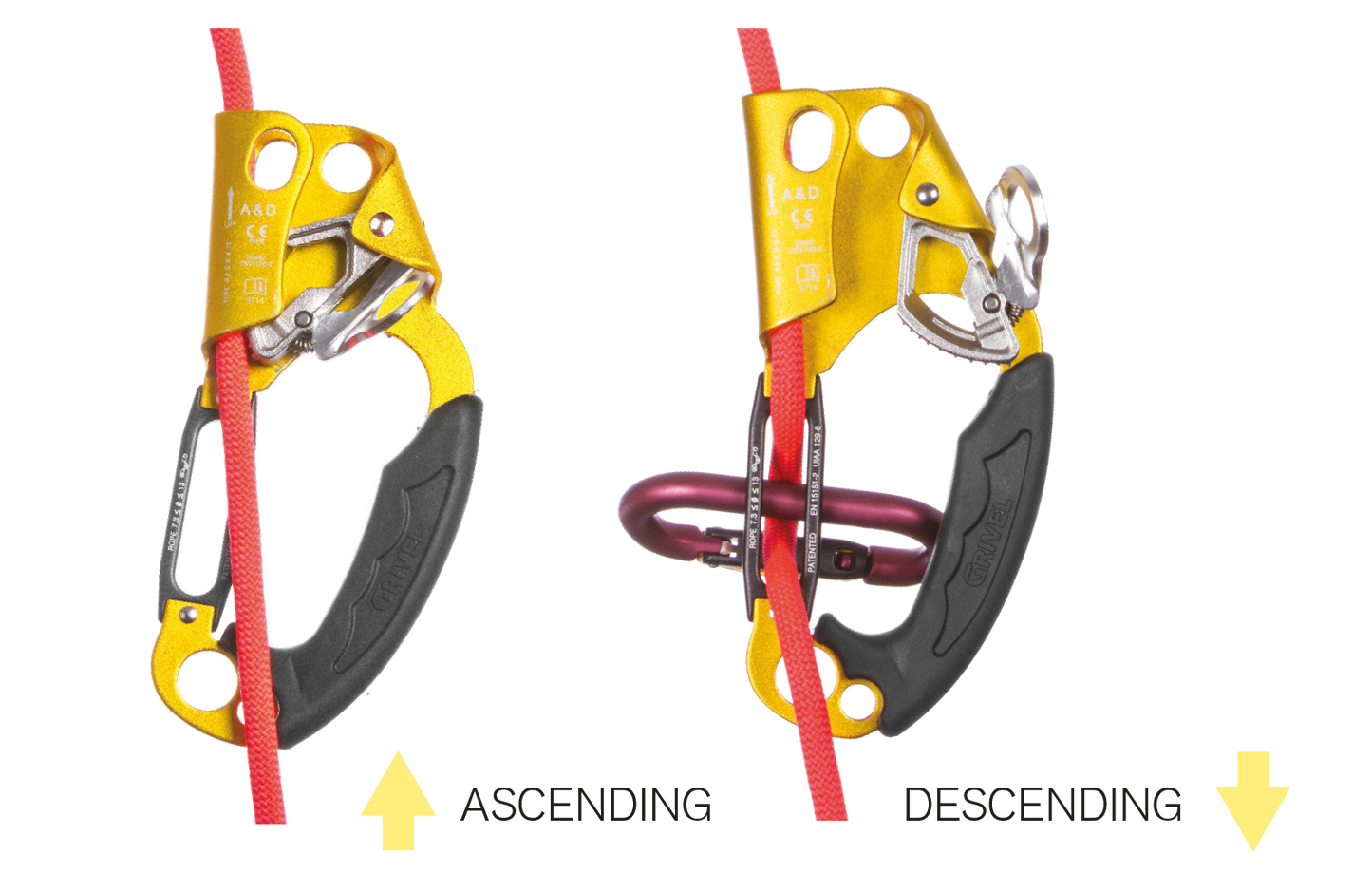 A&D Ascender