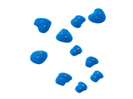 Frog 10.01