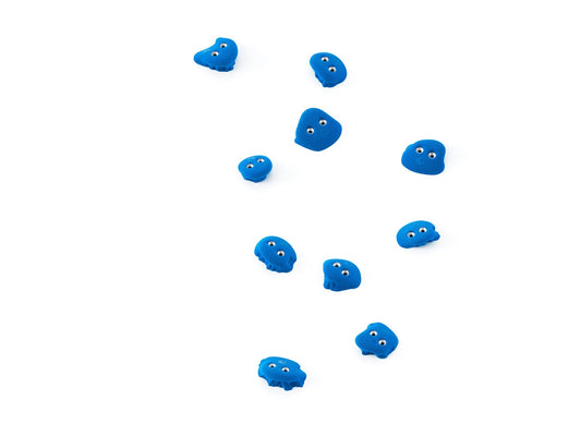 Frog 10.06