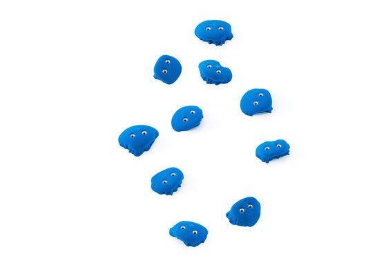 Frog 10.04