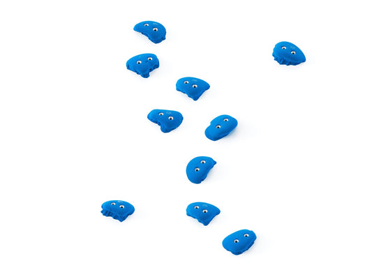 Frog 10.03