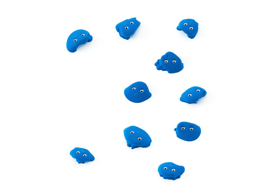 Frog 10.05