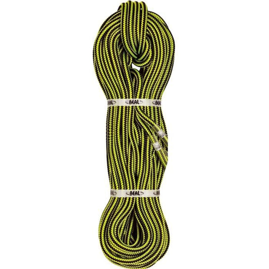 Ginkgo 12mm