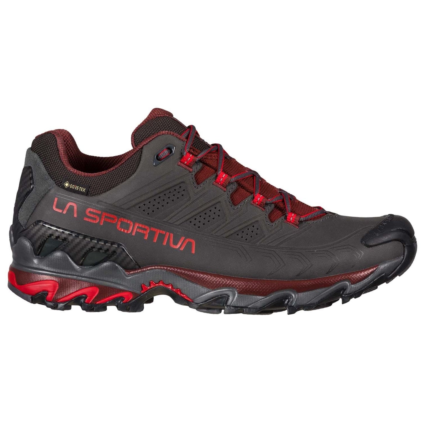 Ultra Raptor II Leather GTX