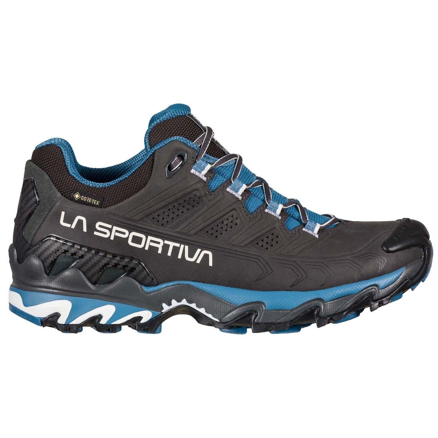 Ultra Raptor II Leather Womens GTX