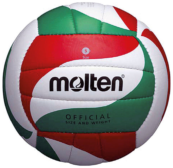 V5M1800-L Volleyball
