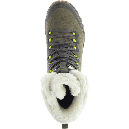Bravada PLR WP-Olive-9