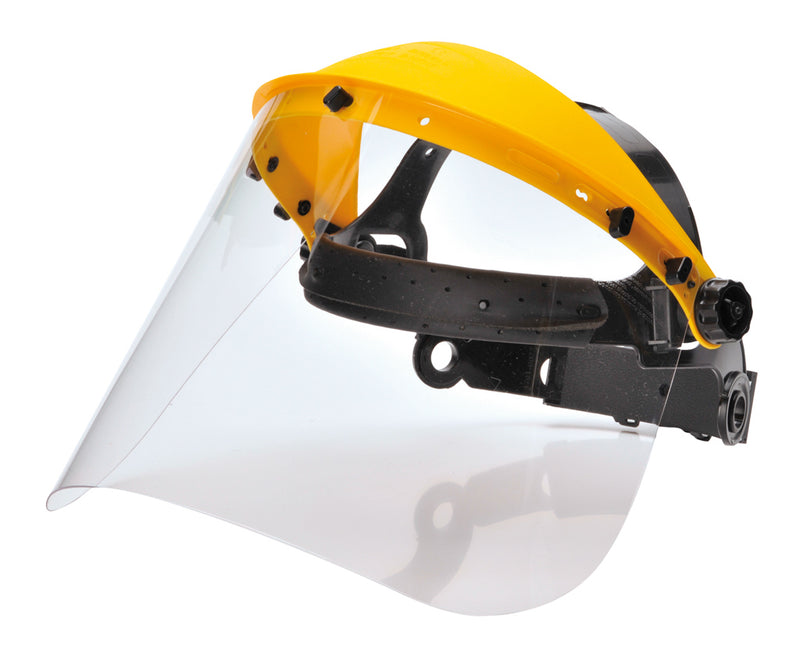 Clear Browguard with Visor