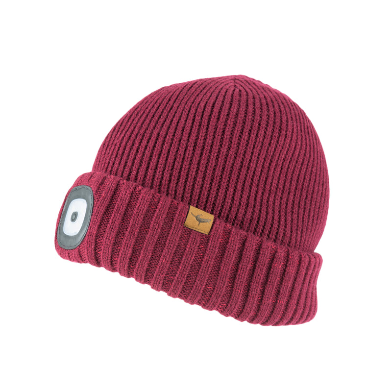 Heydon - Waterproof Cold Weather LED Roll Cuff Beanie